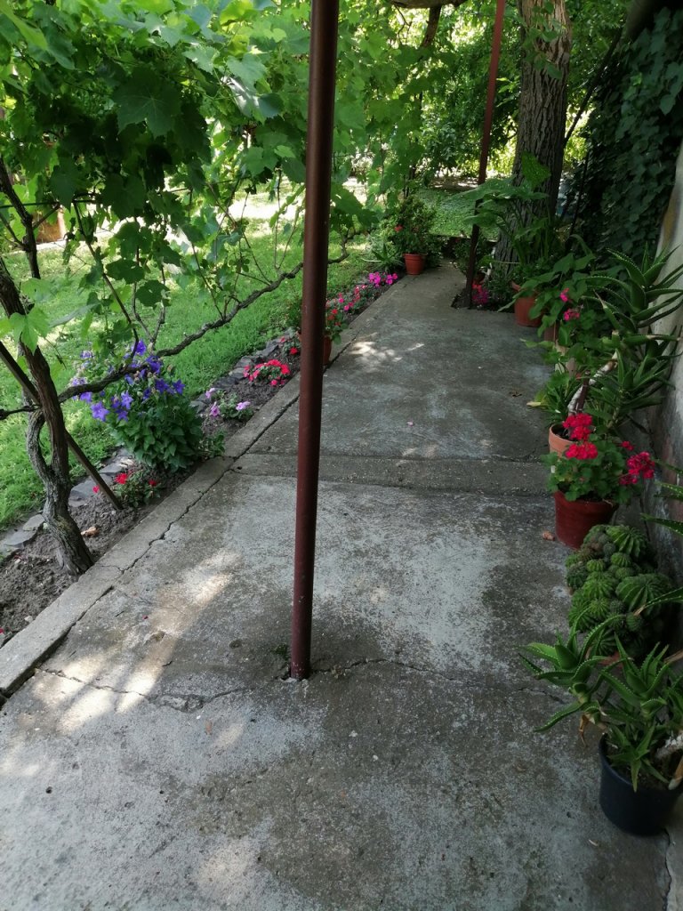 Réz Józsefné kertje 04